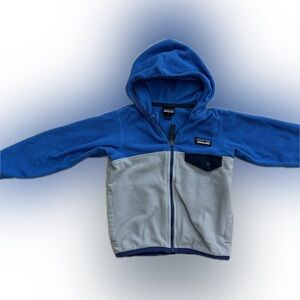 Patagonia Micro D Snap-T Fleece Jacket 2T